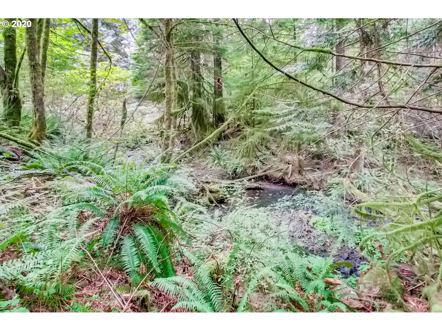 10630 Southeast Bull Run Road Sandy, OR 97055 - Photo 28 of 28
