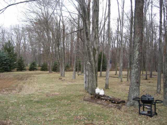 4485 York Road Southwest Pataskala, OH 43062 - Photo 4 of 10