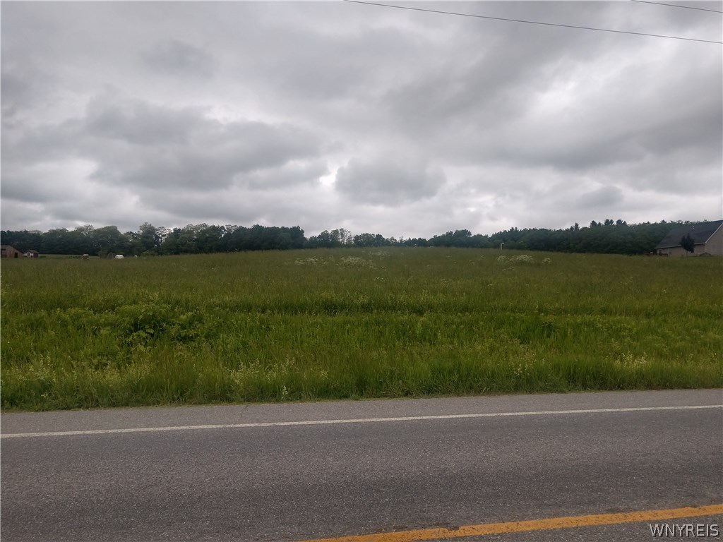 0 Black House Road Warsaw, NY 14569 - Photo 1 of 1 Gallery Image 1