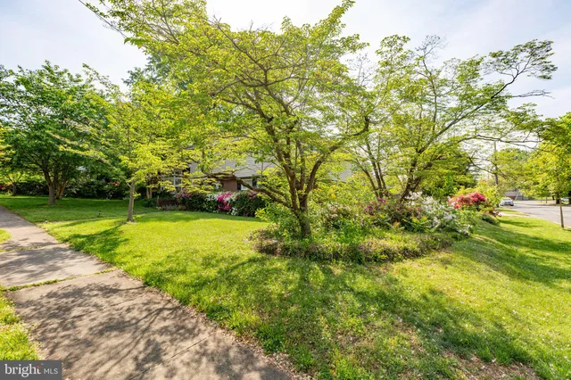 $2,650 | 1424 Brent Street, Fredericksburg, VA 22401