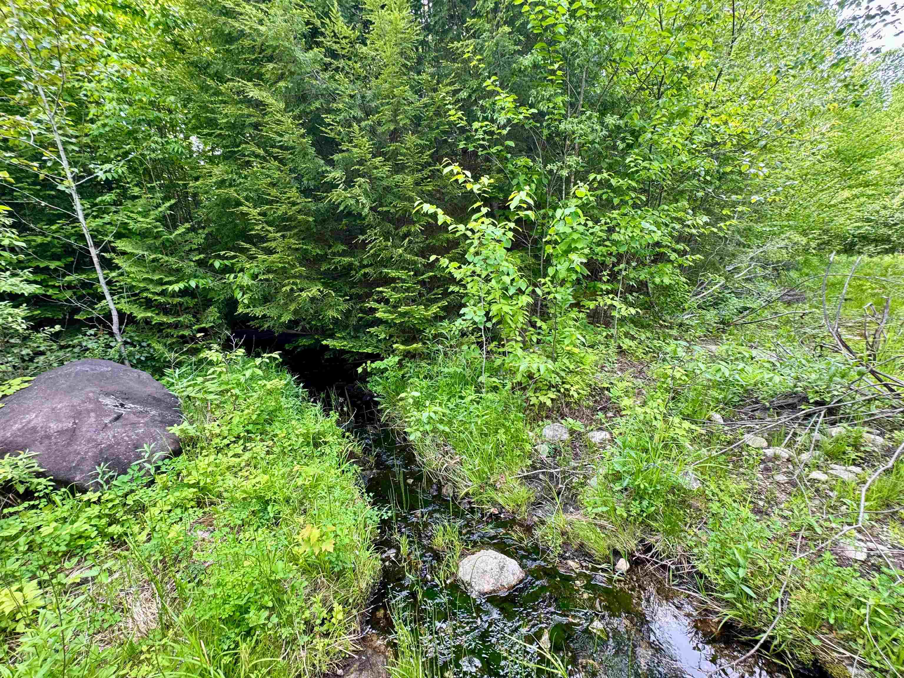 0 South County Road Groton, VT 05046 - Photo 8 of 11