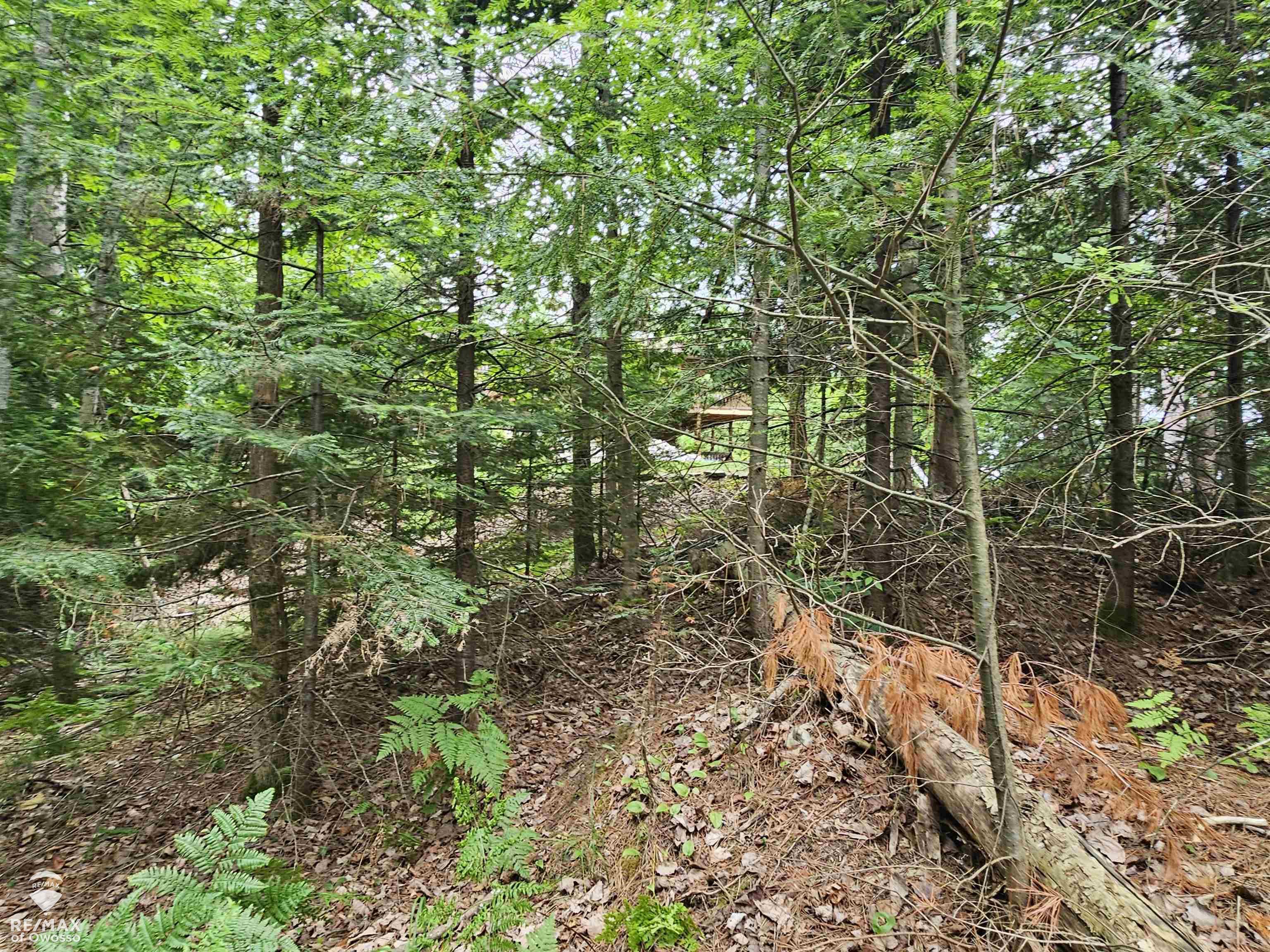 Spile Dam Road Millersburg, MI 49759 - Photo 12 of 16