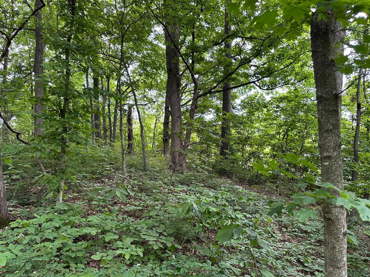 0 Mt Zion Road Bowling Green, KY 42101 - Photo 14 of 16 Gallery Image 14