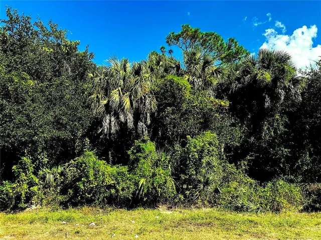 a sign that is sitting in front of a tree