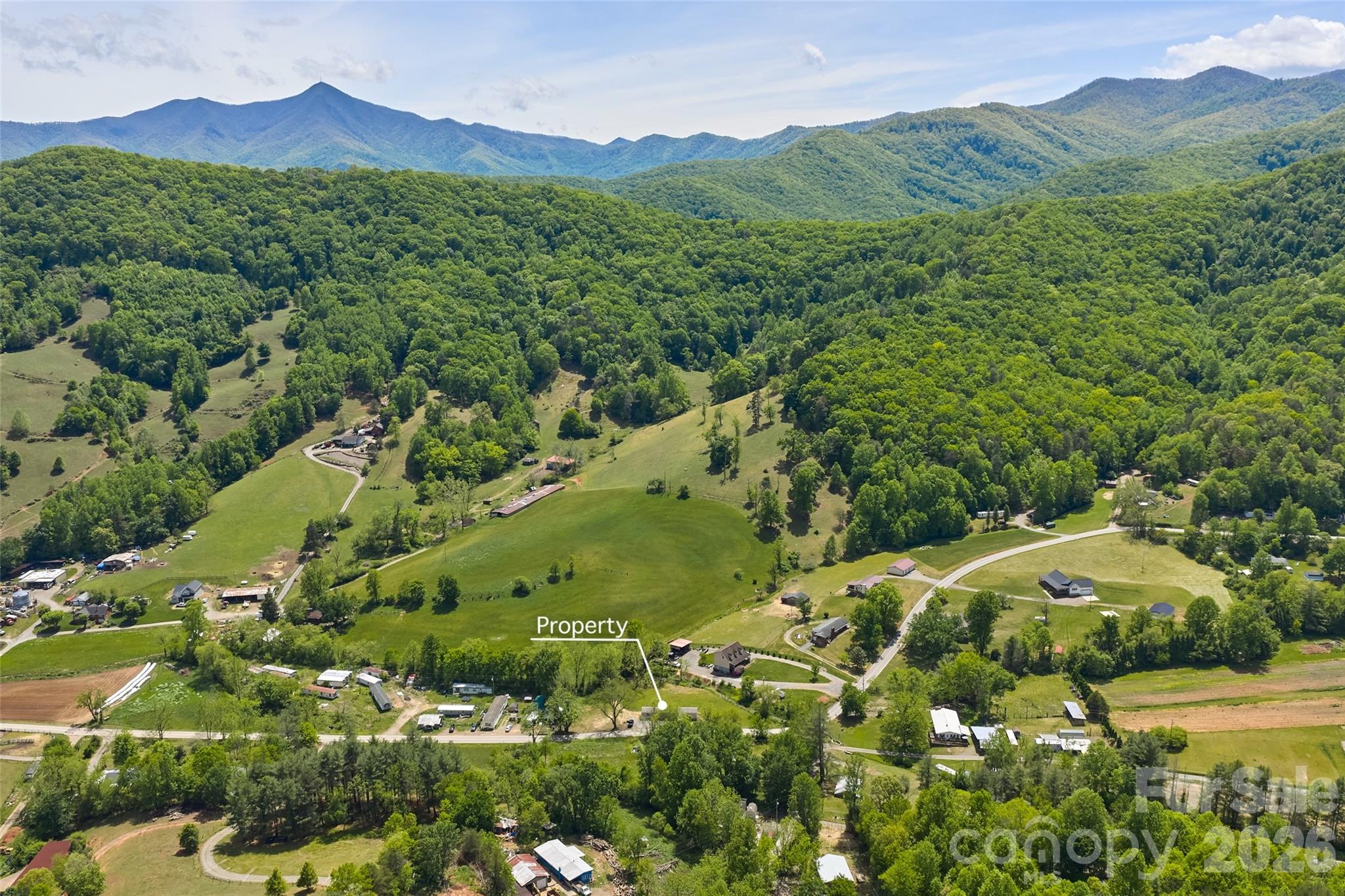 265 Curtis Creek Road Candler, NC 28715 - Photo 17 of 18