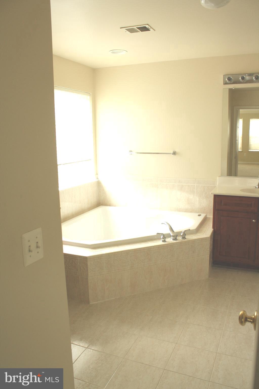 8378 Tillett Loop Manassas, VA 20110 - Photo 17 of 24 a view of bathroom and a bathtub