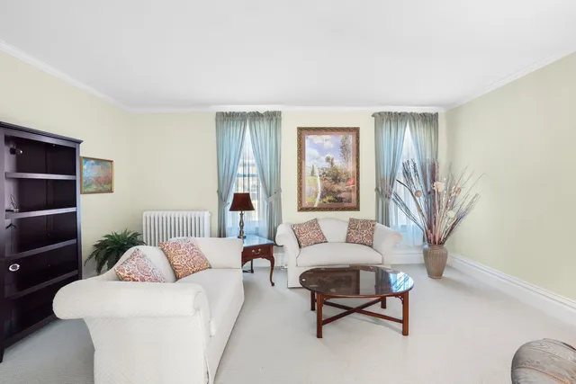 a living room with furniture and a potted plant