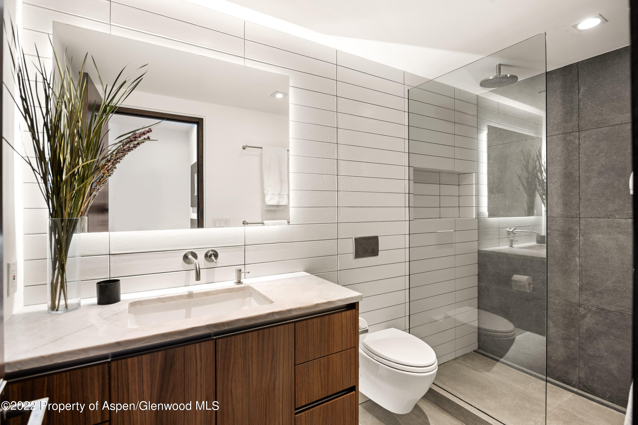 503 North 4th Street Aspen, CO 81611 - Photo 7 of 21 a bathroom with a sink a toilet and shower