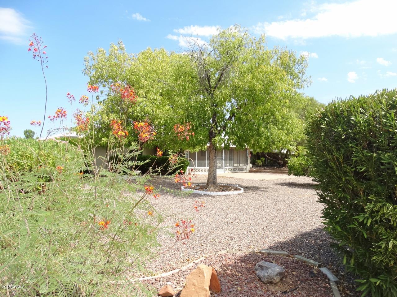 11071 West Oak Ridge Road Sun City, AZ 85351 - Photo 36 of 49 11071 W Oak Ridge Rd (28)