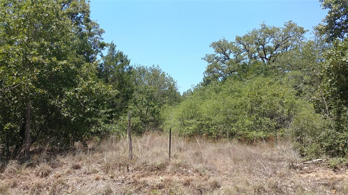 0 Sayers Road Bastrop, TX 78602 - Photo 1 of 1 Gallery Image 1