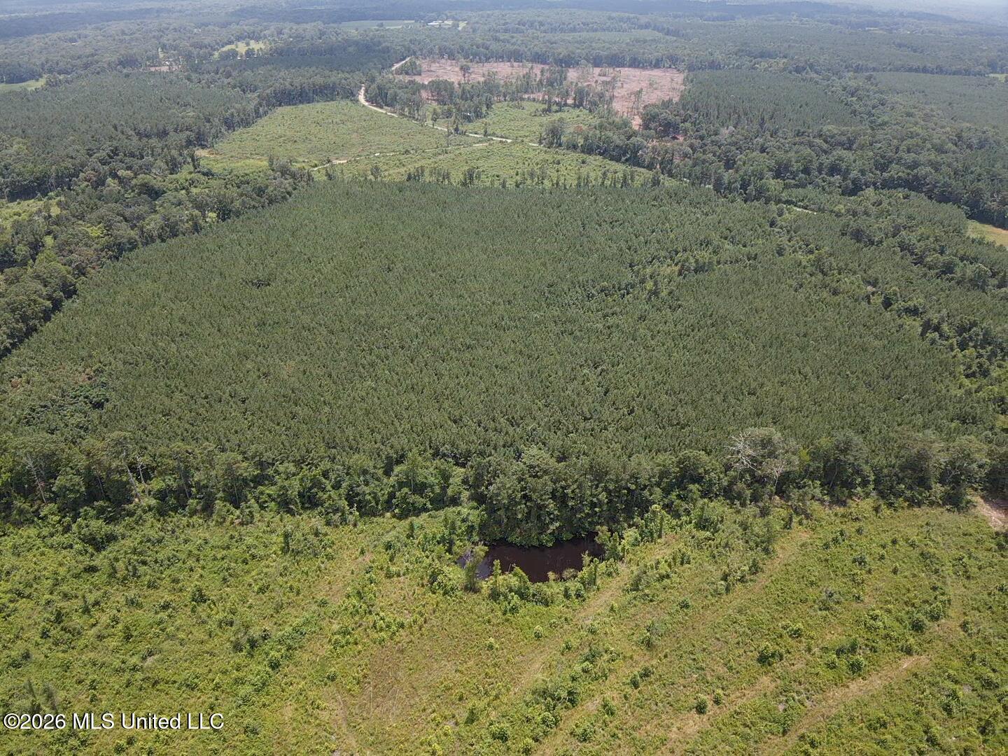 131 B County Road Morton, MS 39117 - Photo 12 of 25 2026-07-05-13-44-55-505