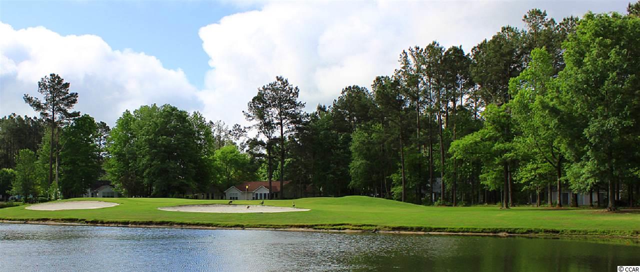 2034 Borgata Loop Longs, SC 29568 - Photo 39 of 39 Gallery Image 39
