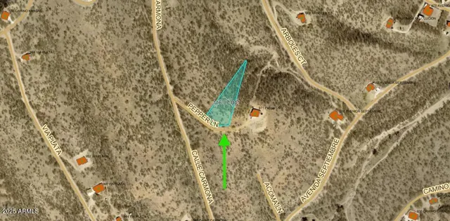 a close up of a plant