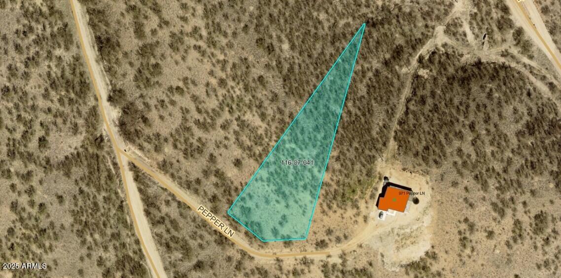 967 Pepper Lane, Unit 19 Rio Rico, AZ 85648 - Photo 2 of 2 a close up of a plant