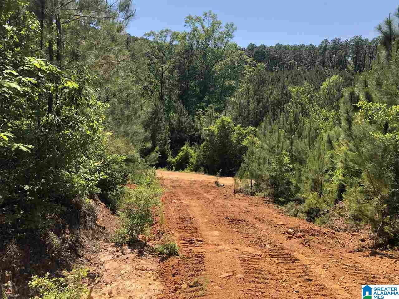 119-acres Double Branch Road, Unit 119 ACRES Marion, AL 36756 - Photo 23 of 26