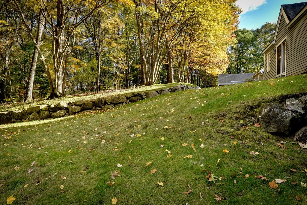 7 Steepletree Lane, Unit 7 Wayland, MA 01778 - Photo 18 of 22 a view of a yard with an tree