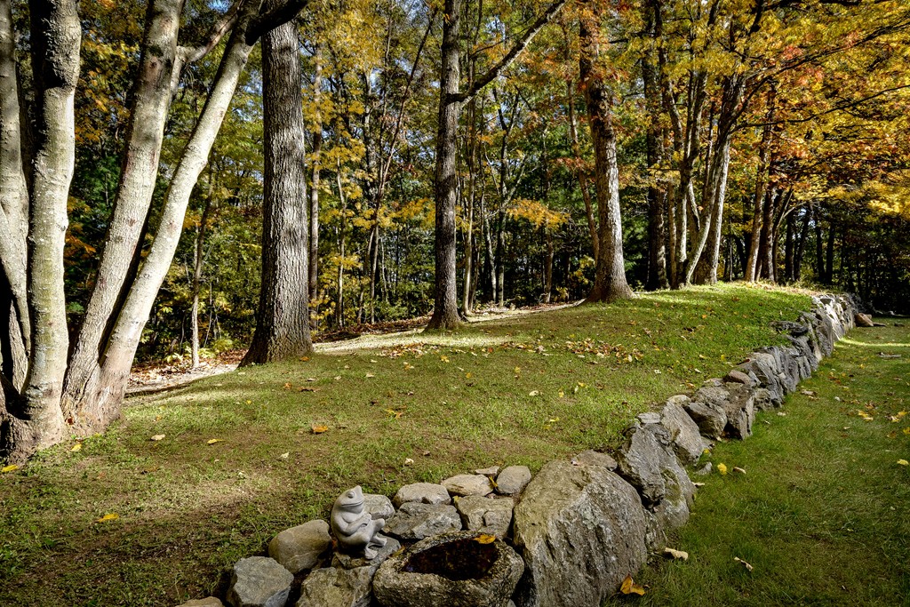 7 Steepletree Lane, Unit 7 Wayland, MA 01778 - Photo 20 of 22 a view of a tree with a yard