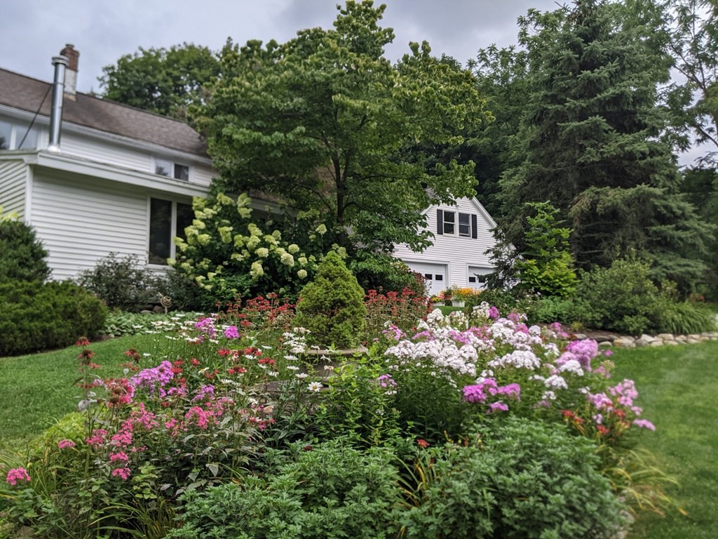 35 Wilson Road Bedford, MA 01730 - Photo 38 of 42 a view of a flower in a garden of a house