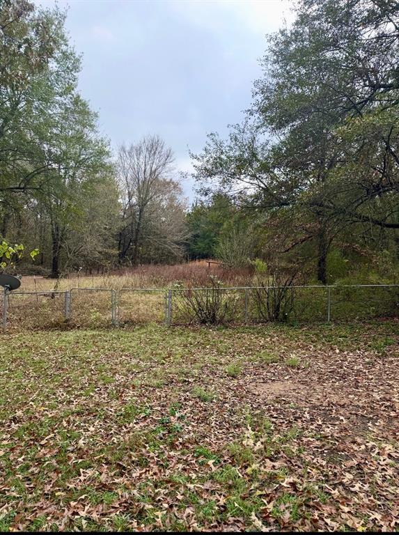 51 County Road Paris, TX 75460 - Photo 14 of 16 a view of a field of grass and a tree