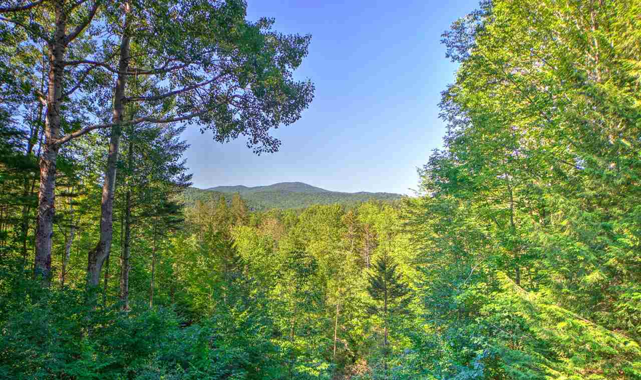 858 Cabot Road Woodstock, VT 05091 - Photo 34 of 34