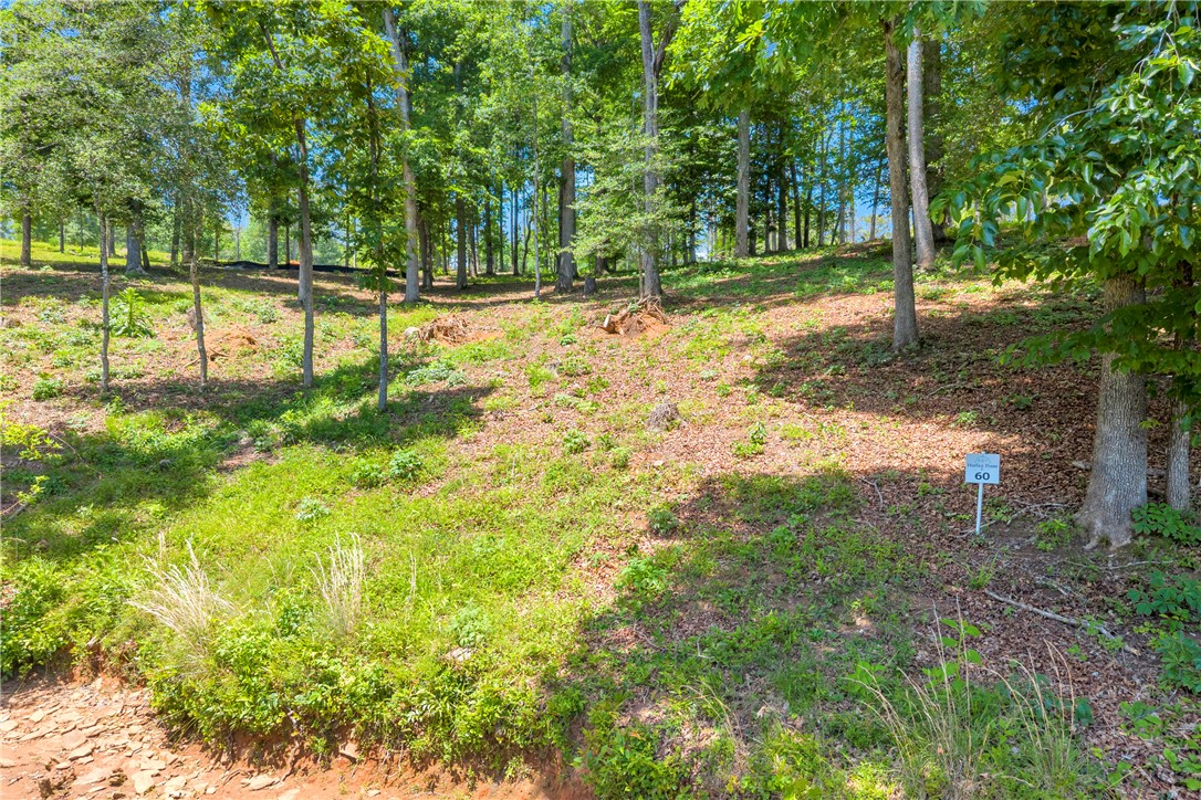 Lot 60 Harbor Point Seneca, SC 29672 - Photo 21 of 30 A spacious, tree-dotted lot awaits your custom home vision, blending natural beauty with gentle slopes.