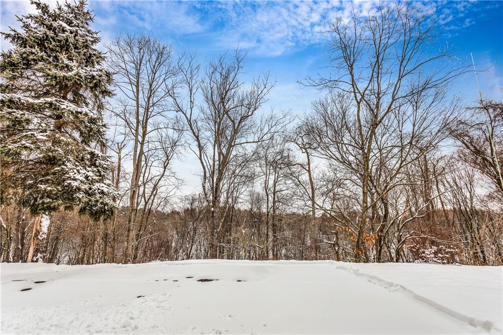 10130 Deer View Point Road Wexford, PA 15090 - Photo 25 of 25 Gallery Image 25