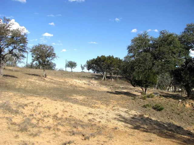 a view of a back yard of a house
