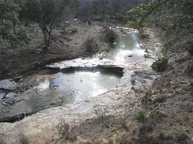 a view of a lake from a yard