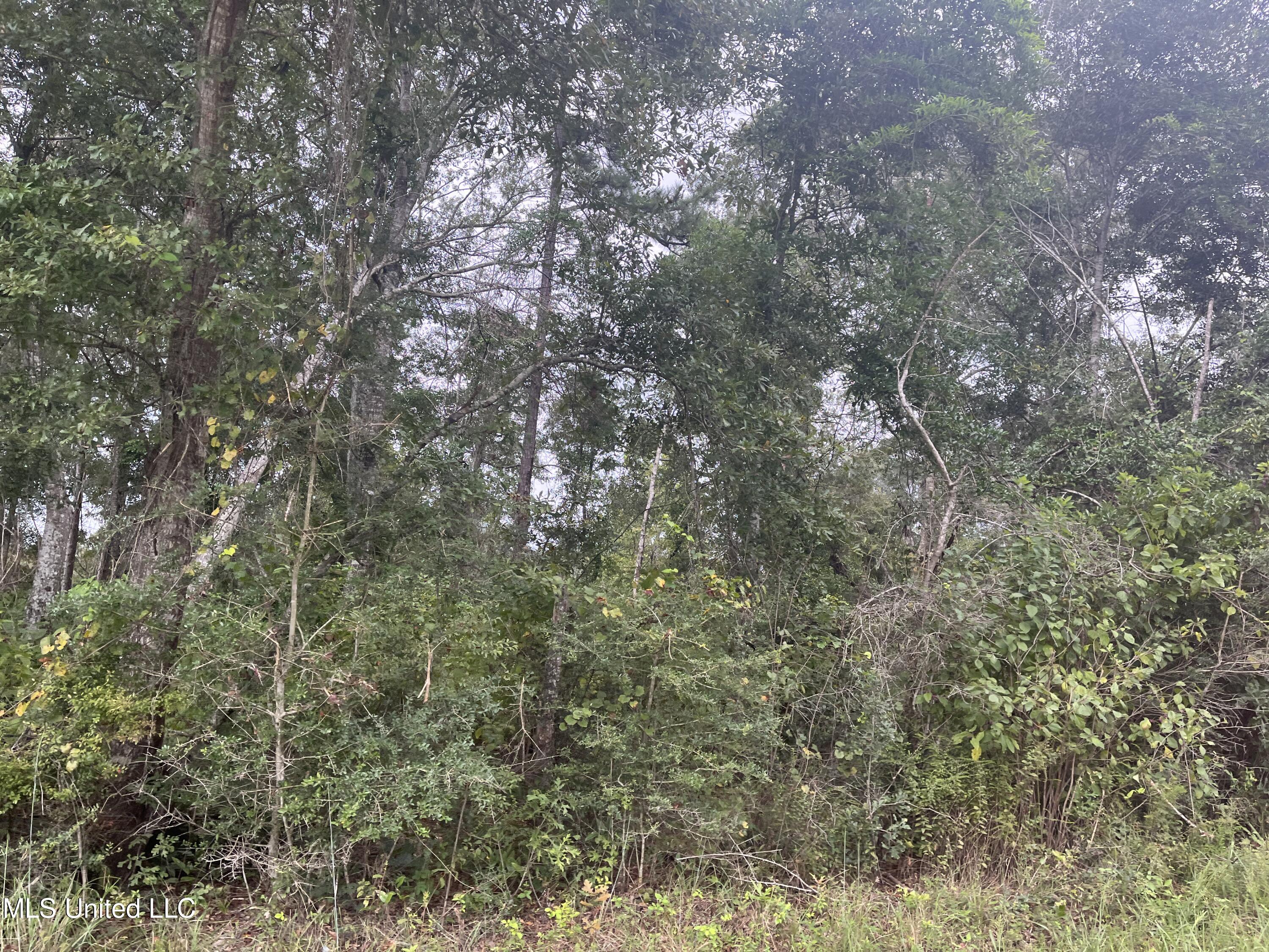 615 Clark Batson Road Perkinston, MS 39573 - Photo 11 of 65 24971E79-A0B6-4E87-A0BB-2BD3F9EB6ED9