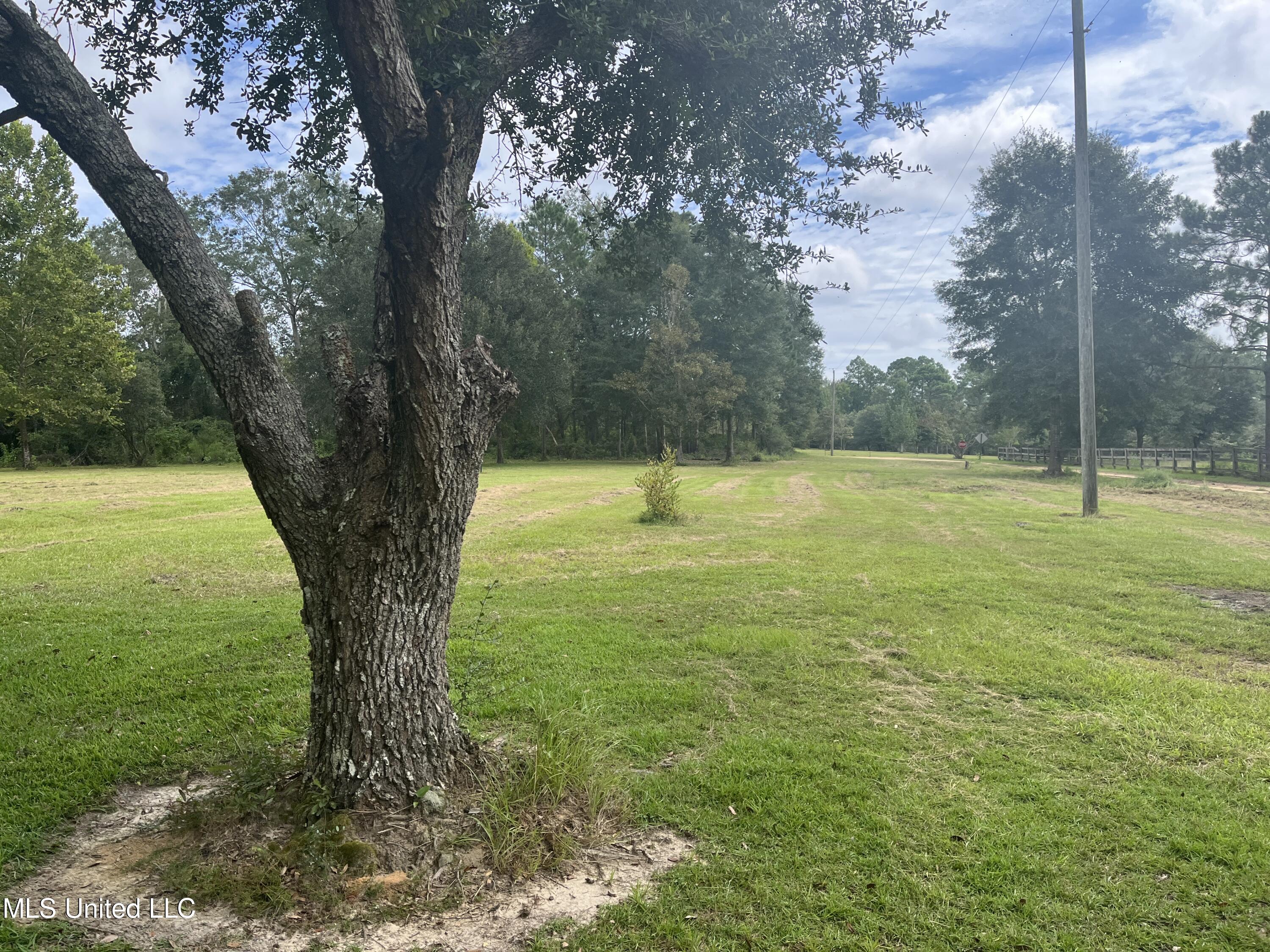 615 Clark Batson Road Perkinston, MS 39573 - Photo 16 of 65 0B24BBA2-4455-4E3F-87B3-8D6B85A5E7B7