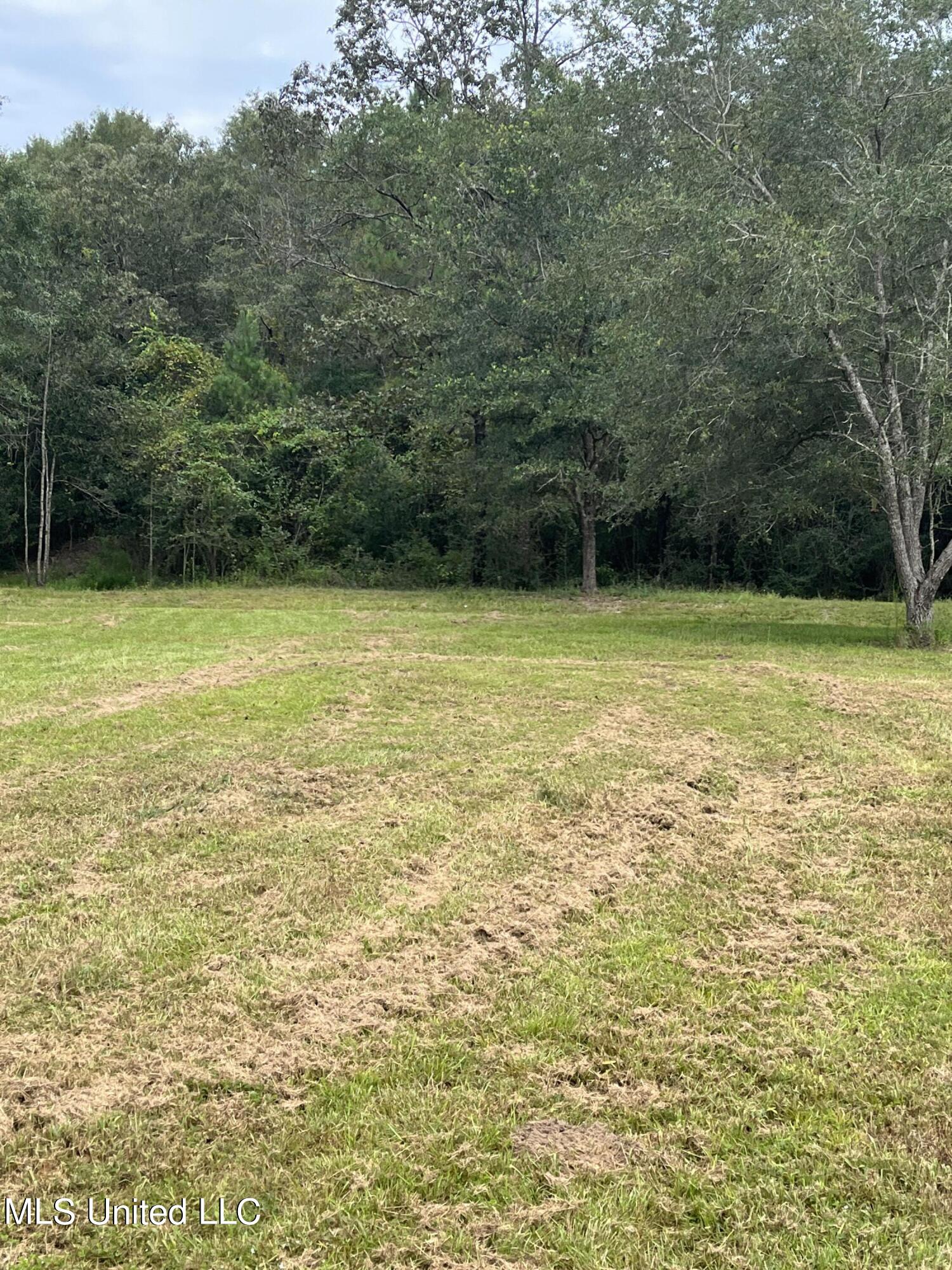 615 Clark Batson Road Perkinston, MS 39573 - Photo 57 of 65 C000C418-2F2D-4232-A952-074F40A78649