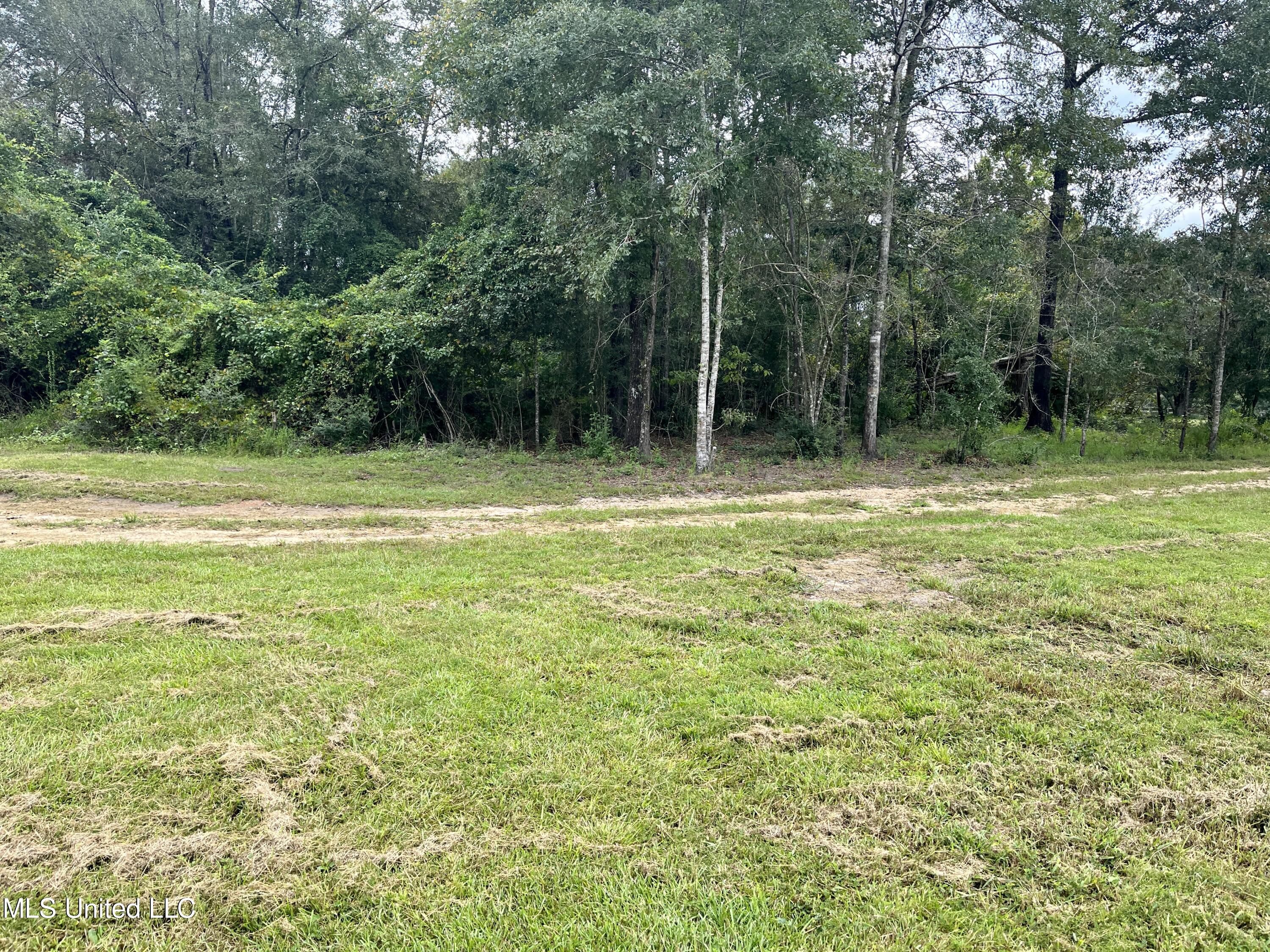 615 Clark Batson Road Perkinston, MS 39573 - Photo 60 of 65 AA636EDA-6916-45F6-AD14-ED8A241A0114