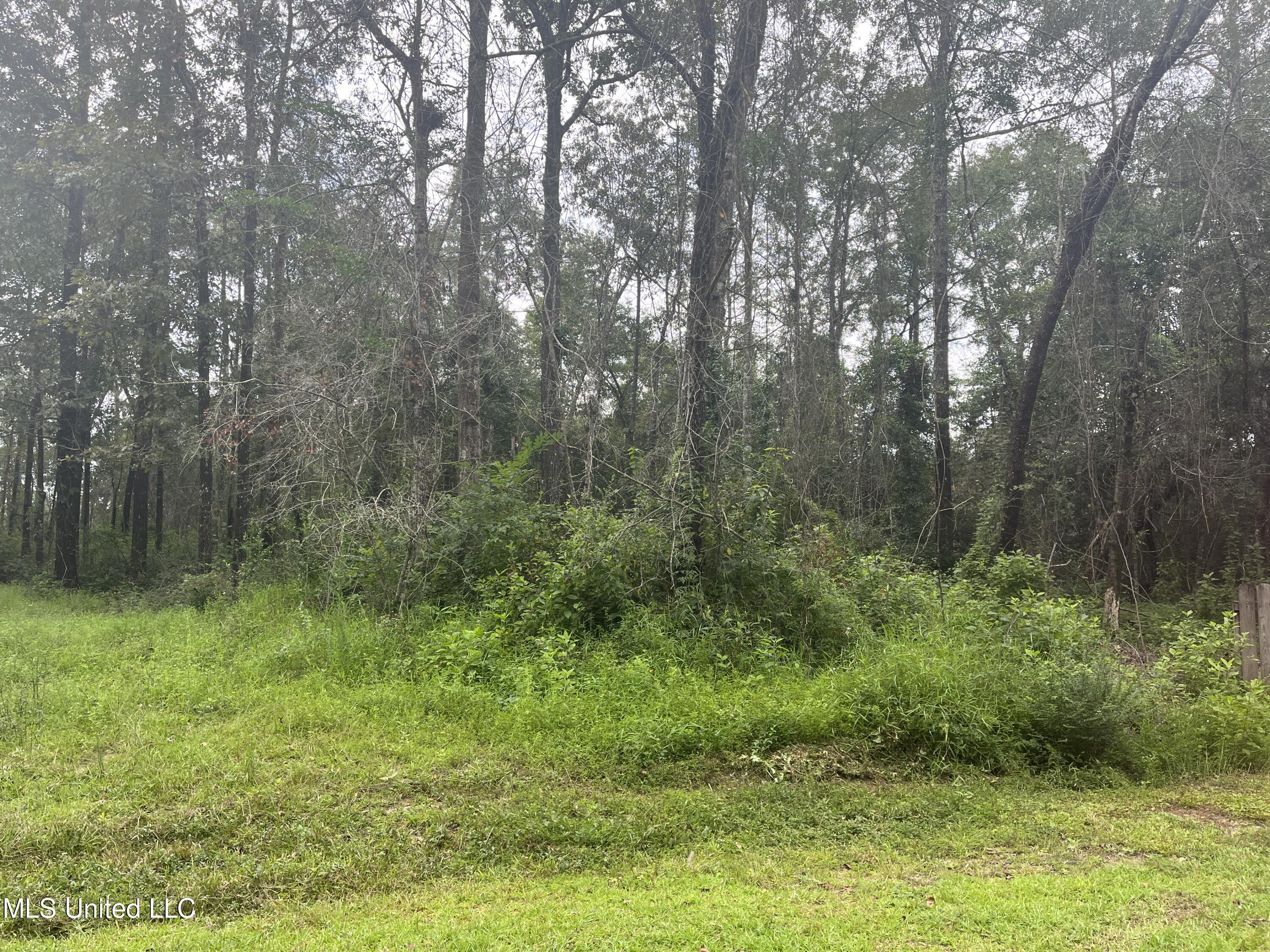 615 Clark Batson Road Perkinston, MS 39573 - Photo 6 of 65 2D6D2344-8E81-46D8-894D-0F73D4BB0E06