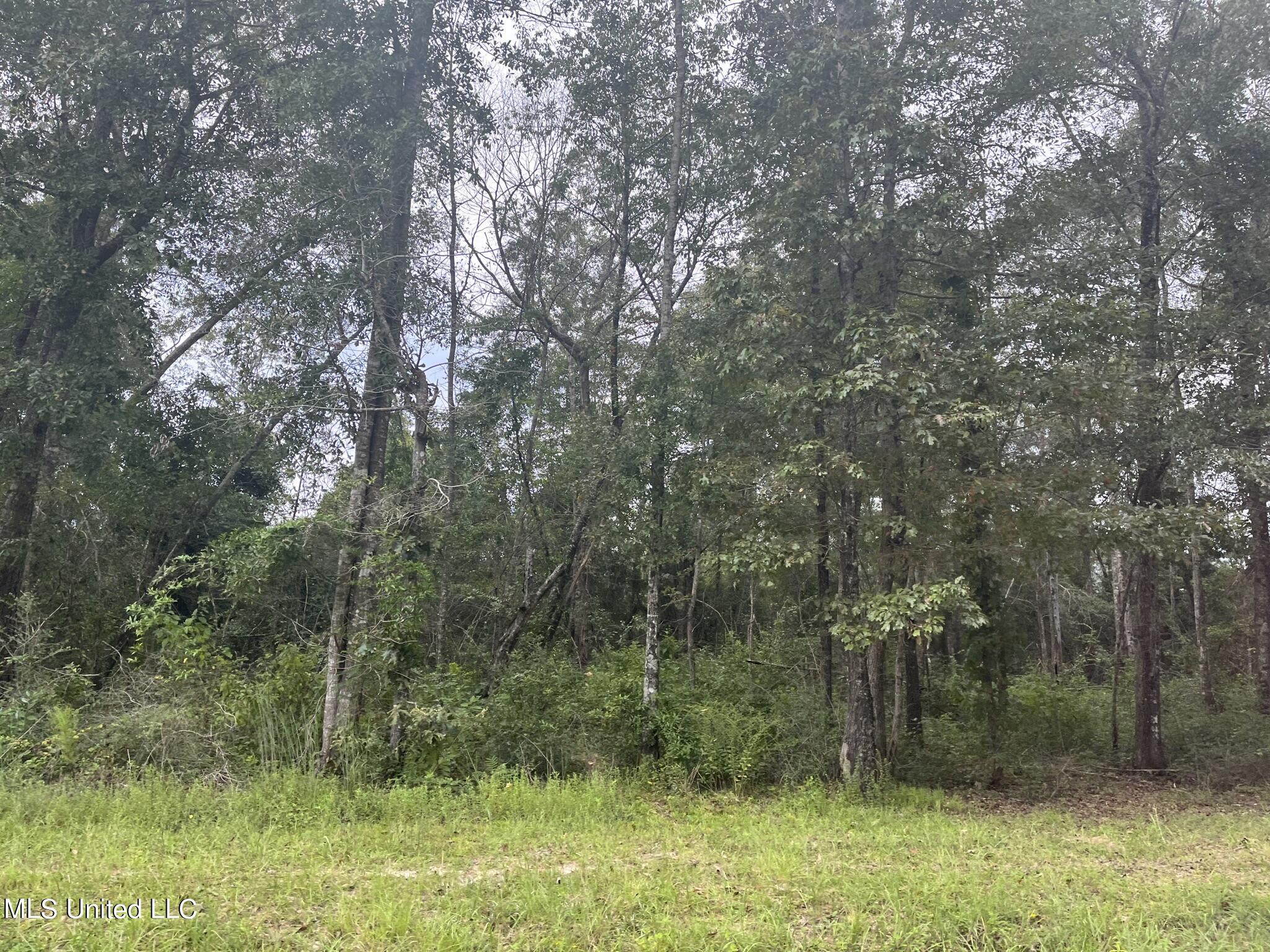 615 Clark Batson Road Perkinston, MS 39573 - Photo 8 of 65 639FD65E-B3D7-4F24-A004-62AC0494FA1E