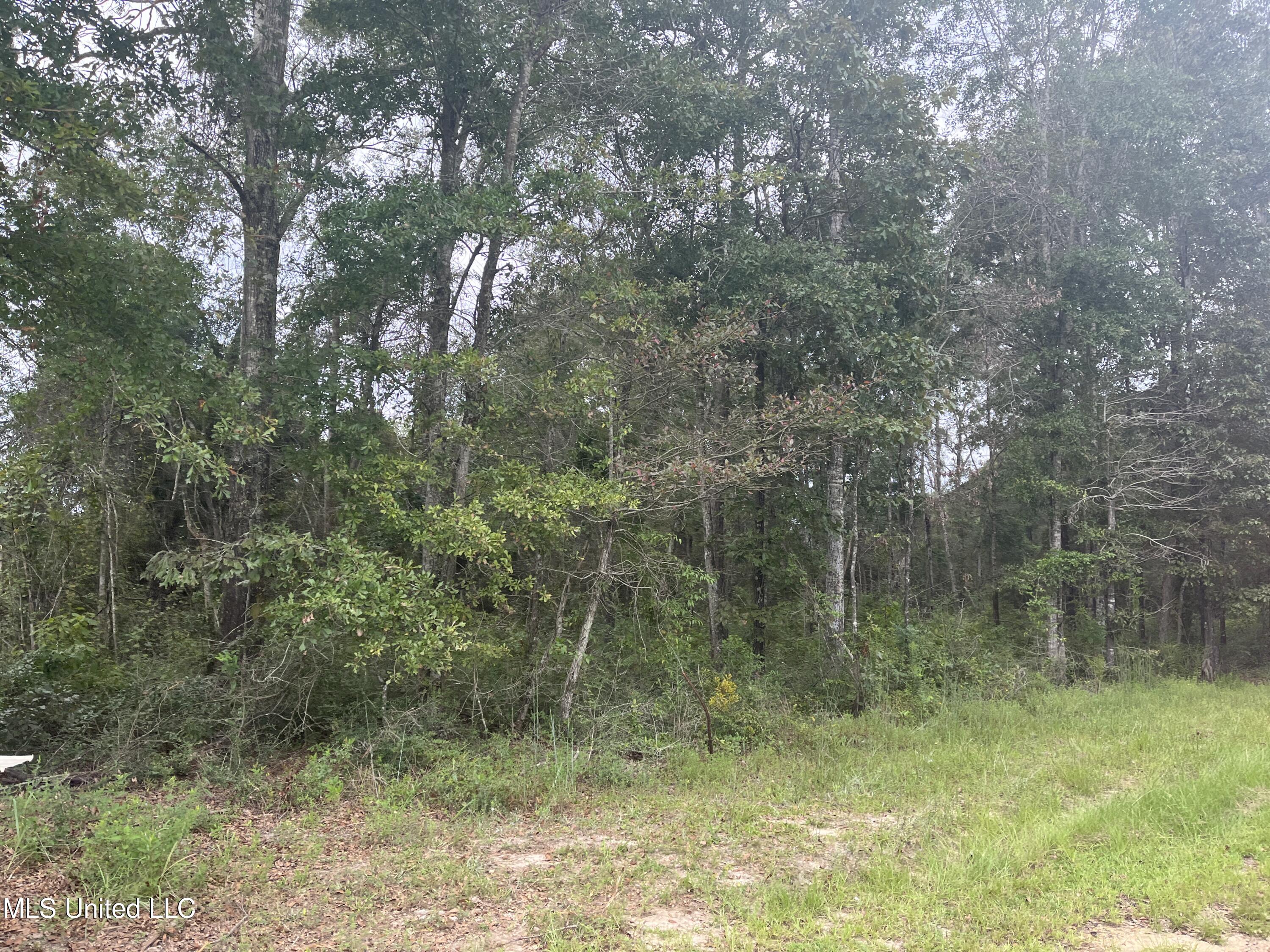 615 Clark Batson Road Perkinston, MS 39573 - Photo 9 of 65 37F6D45A-3C5D-407E-ABF0-665CFC5BAF11