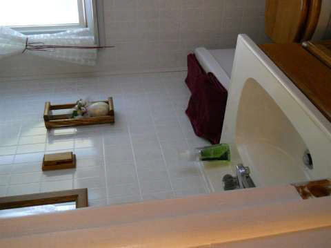 5920 Western Road Flint, MI 48506 - Photo 18 of 20 20421871-17.JPG