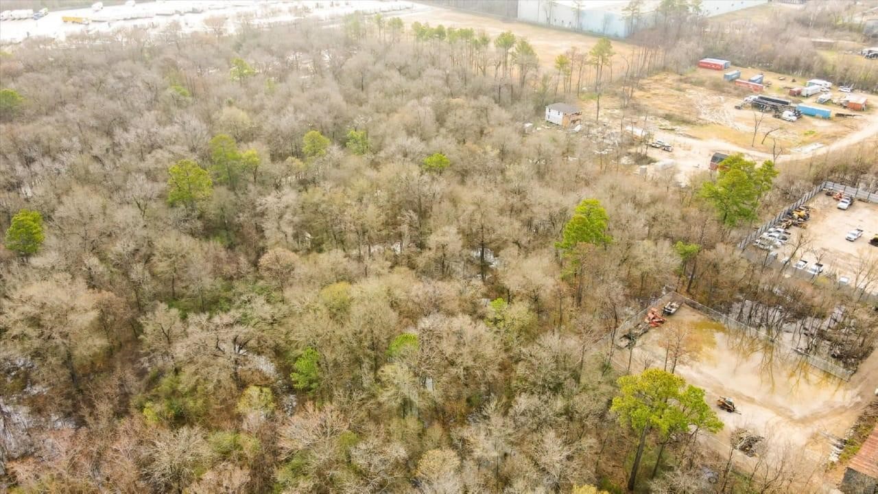 a close up of a plant with lots of bushes