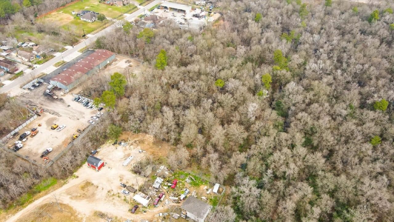 Tbd Balfour Street Houston, TX 77028 - Photo 6 of 12 a close up of a plant