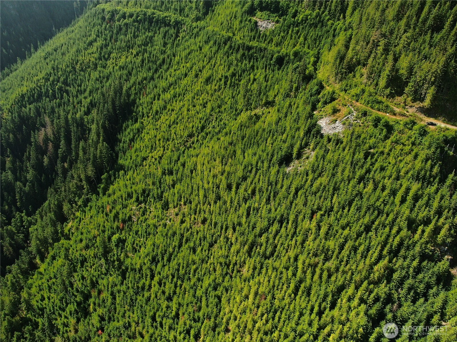0 Finney-Cumberland Road Sedro-Woolley, WA 98284 - Photo 14 of 17 a view of a lush green space