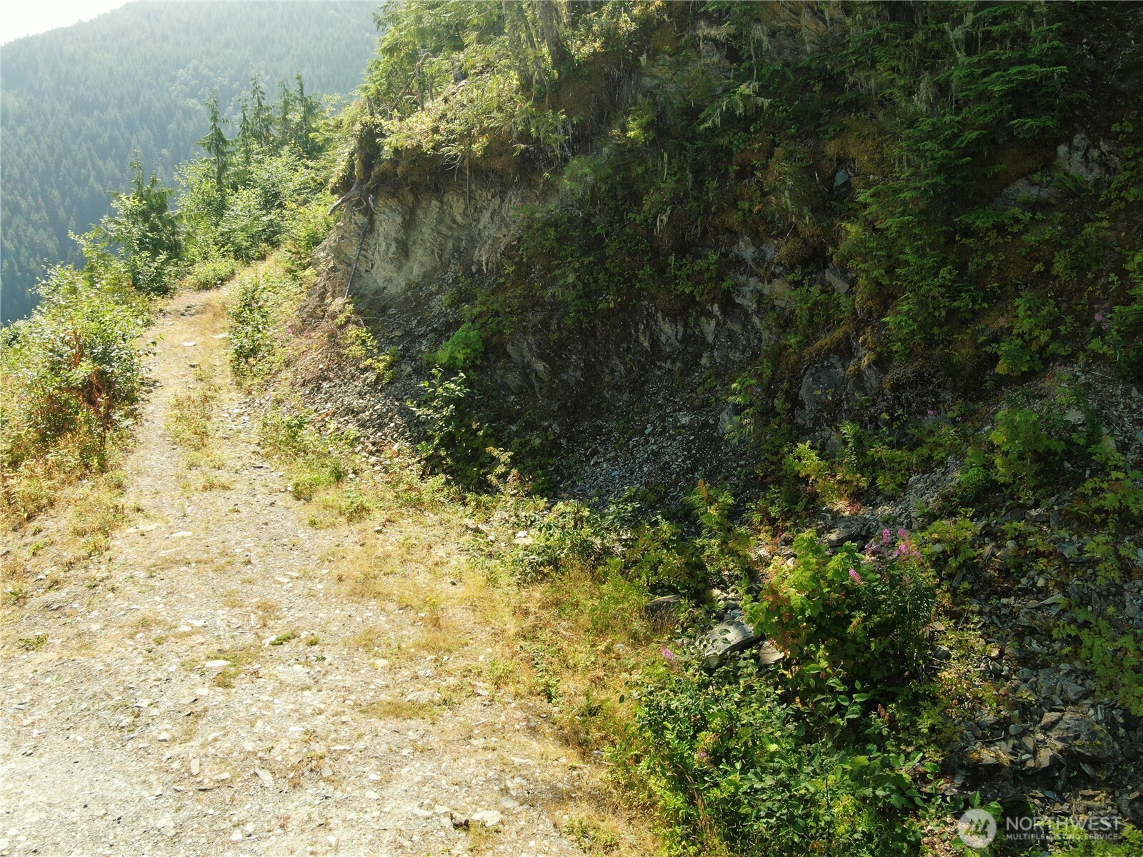0 Finney-Cumberland Road Sedro-Woolley, WA 98284 - Photo 17 of 17 a view of a yard