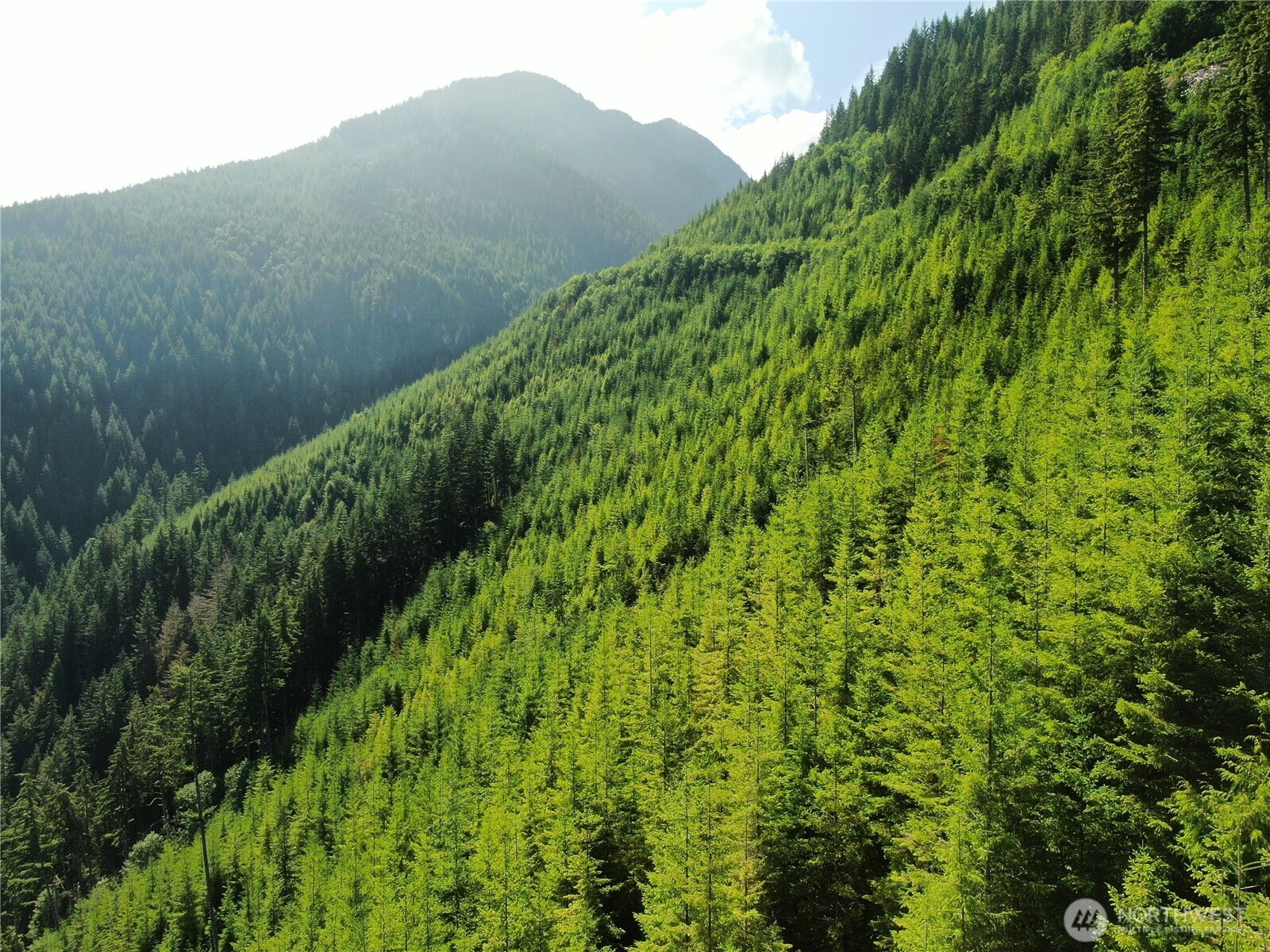 0 Finney-Cumberland Road Sedro-Woolley, WA 98284 - Photo 2 of 17 a view of a lush green field