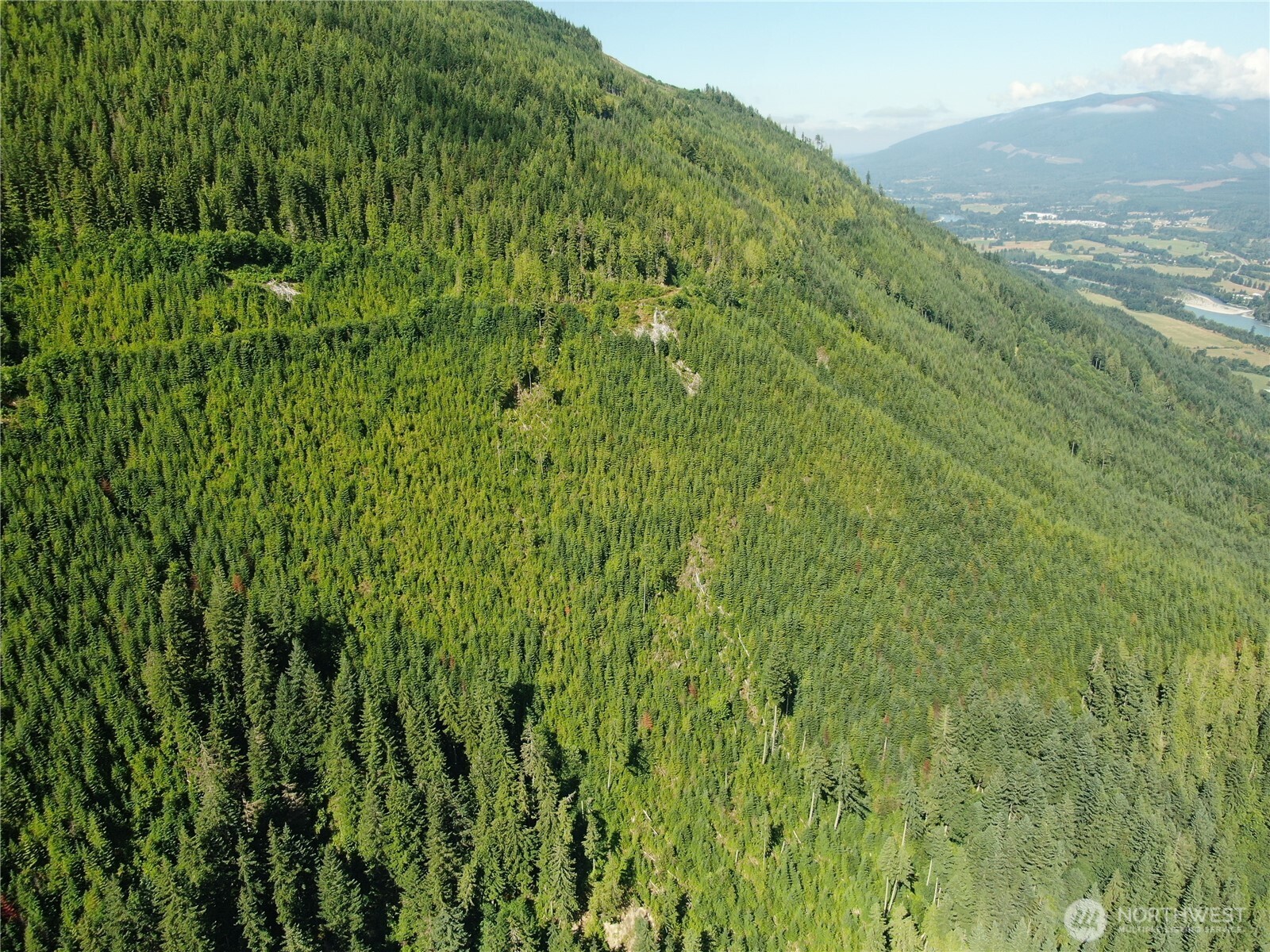 0 Finney-Cumberland Road Sedro-Woolley, WA 98284 - Photo 8 of 17 a view of a lush green field