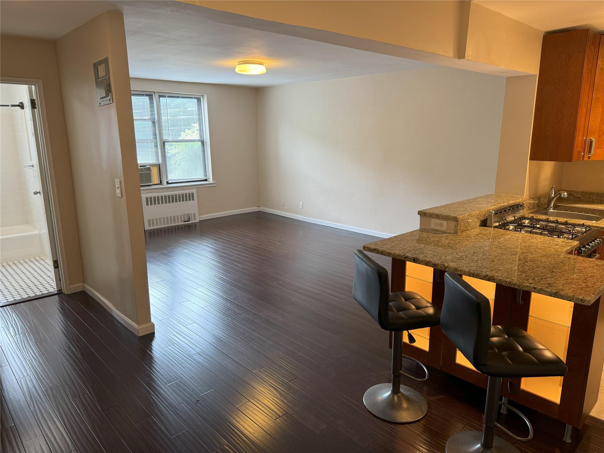 77 Bronx River Road, Unit 1A Yonkers, NY 10704 - Photo 1 of 1 Featuring dark hardwood / wood-style floors and radiator