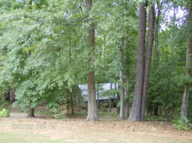 130 Riverbend Road Jackson, GA 30233 - Photo 25 of 29 a view of a forest with trees