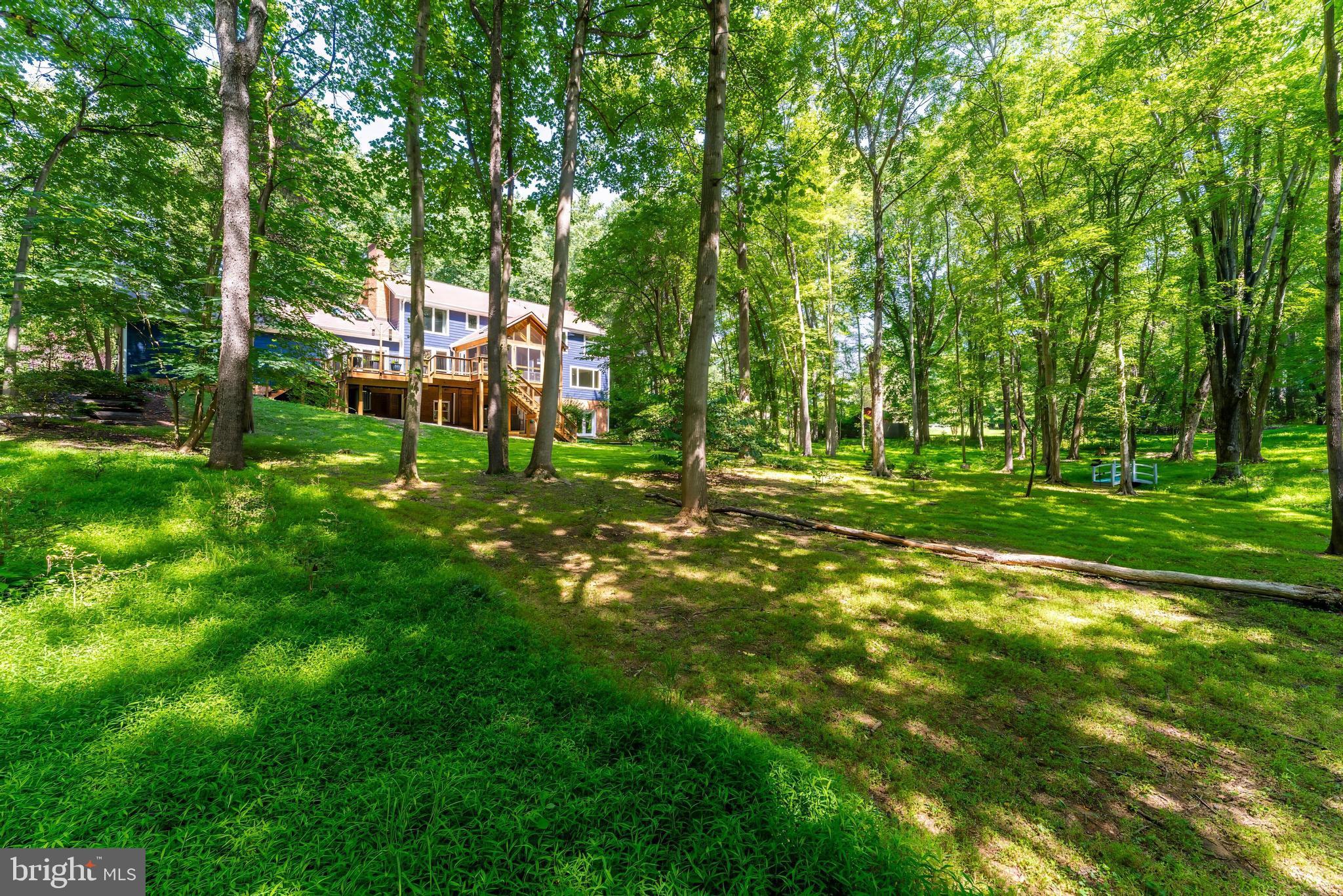 401 Seneca Road Great Falls, VA 22066 - Photo 14 of 16 Gallery Image 14