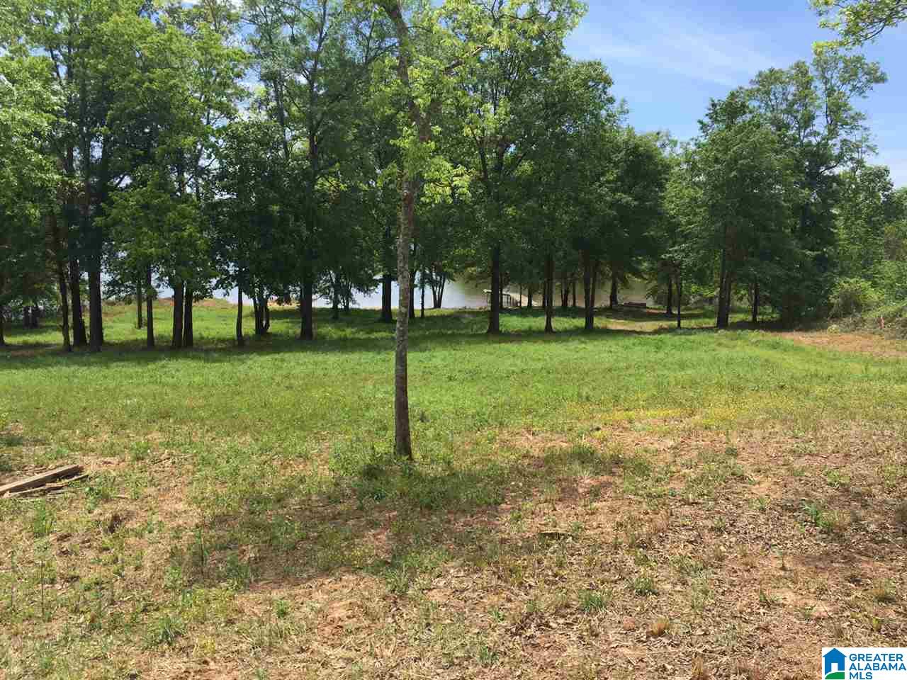 Ranch Marina Road Pell City, AL 35128 - Photo 2 of 8