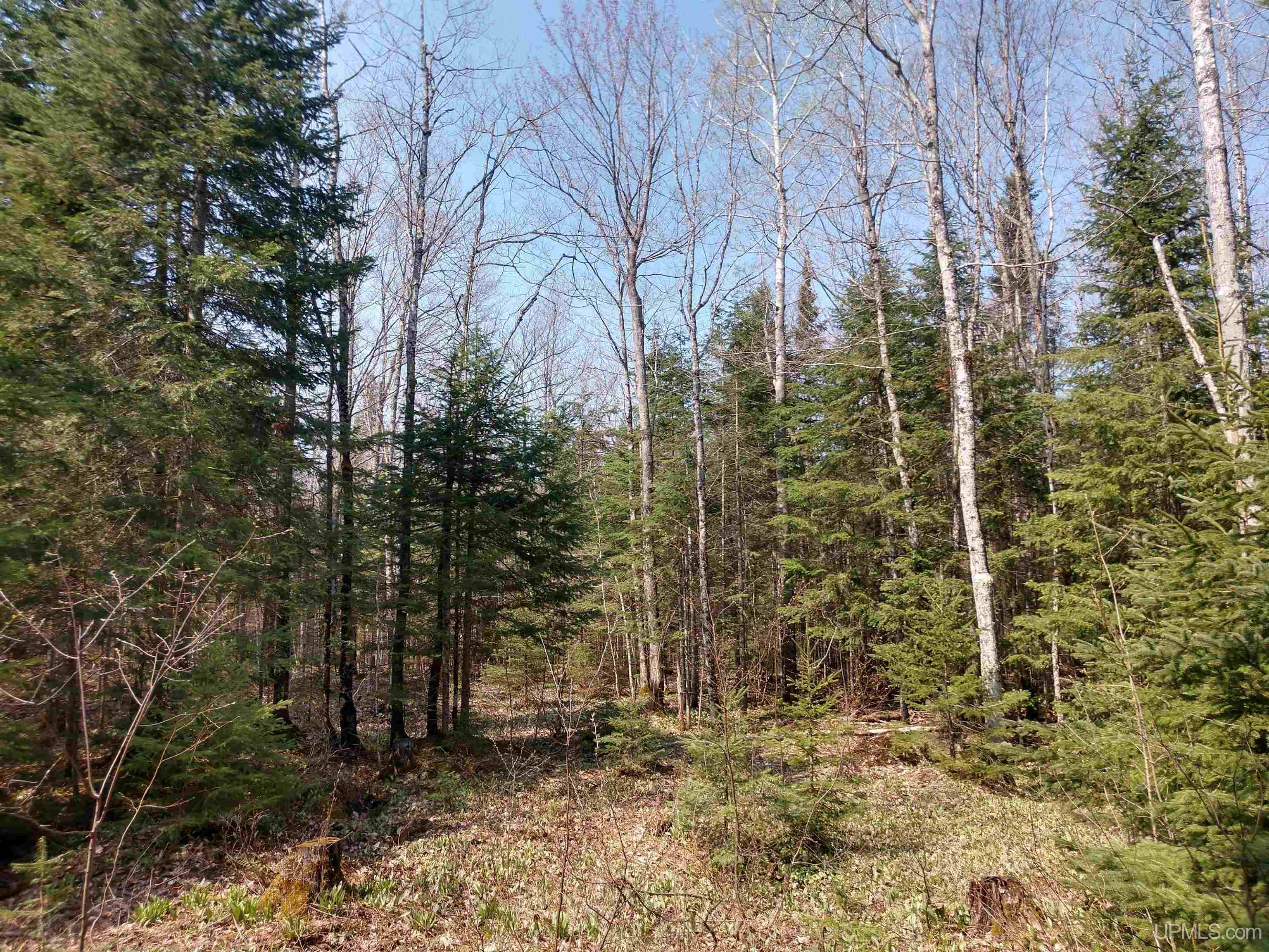 Tbd Melstrand Tbd Melstrand Mosquito Stub Road Shingleton, MI 49884 - Photo 20 of 29