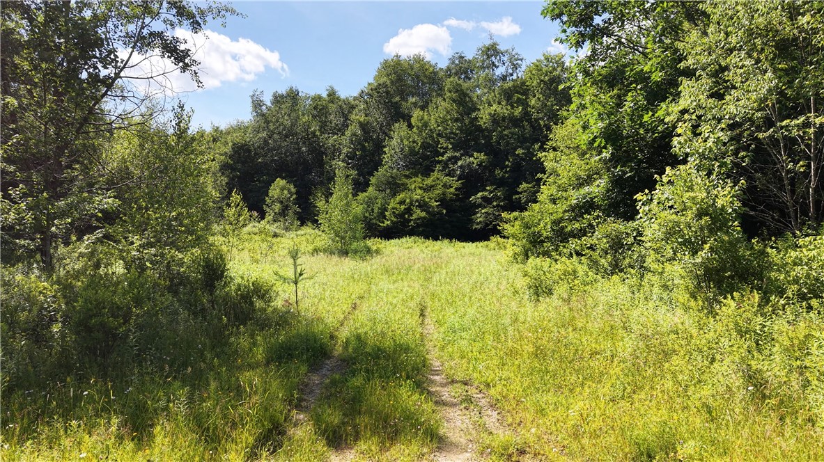 409 Cty Road Cincinnatus, NY 13040 - Photo 26 of 29