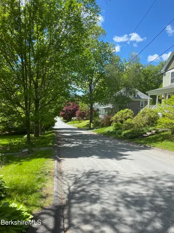 a view of a yard with plants and large trees