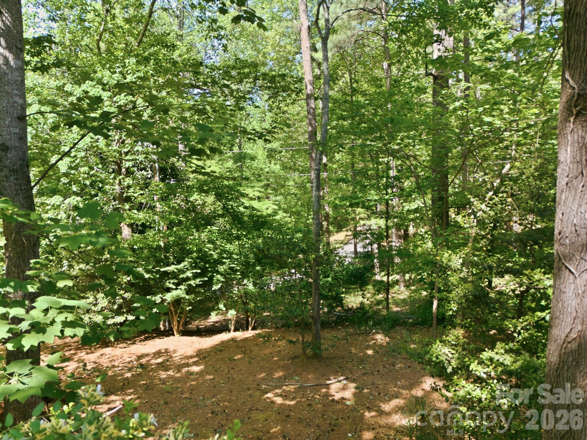 91 Diamond Ridge Lane Columbus, NC 28722 - Photo 42 of 48